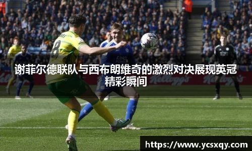 谈球吧
